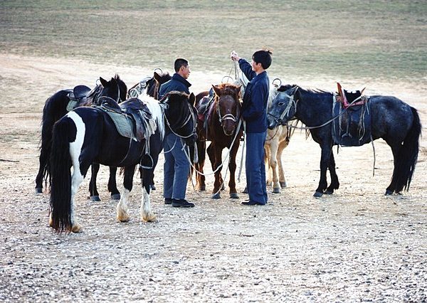 young mongolians herding horses in 2001